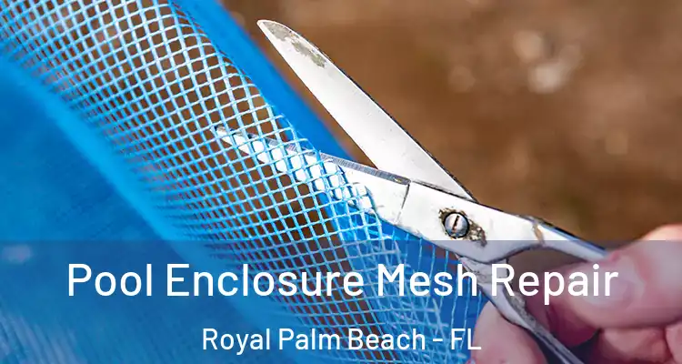 Pool Enclosure Mesh Repair Royal Palm Beach - FL